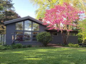 blackish house with bright pink tree in front